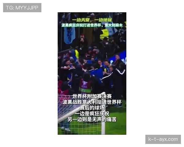 波黑冲击2026世界杯前景如何：能否时隔十年重返决赛圈